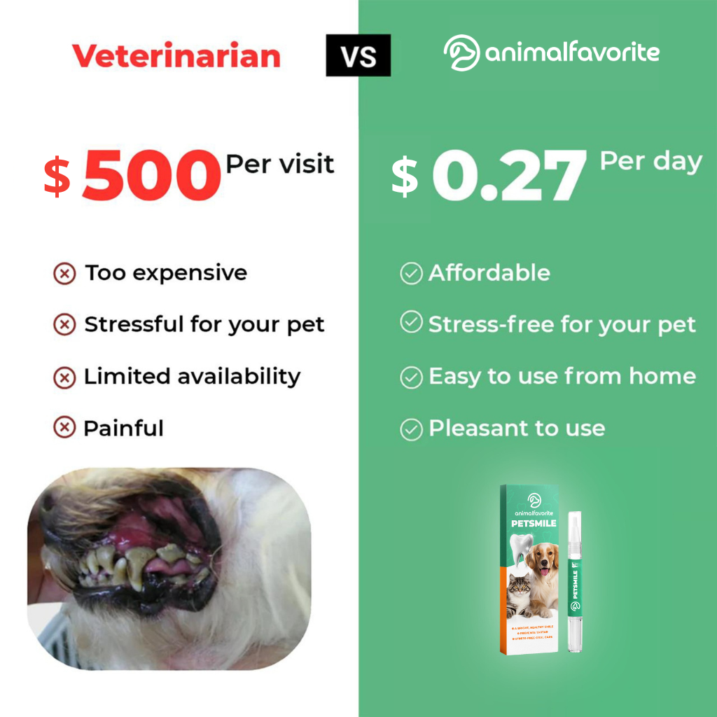 PetSmile™ | Say goodbye to plaque & bad breath!