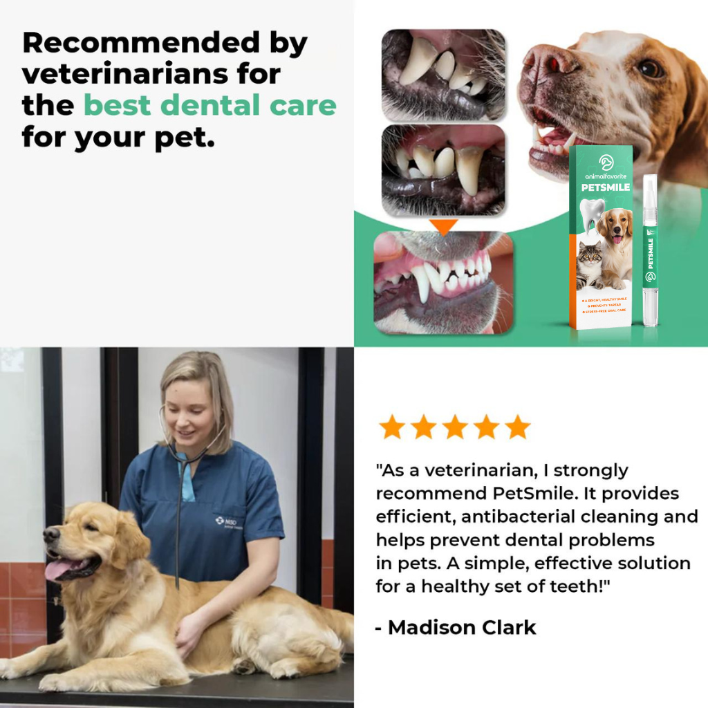 PetSmile™ | Say goodbye to plaque & bad breath!