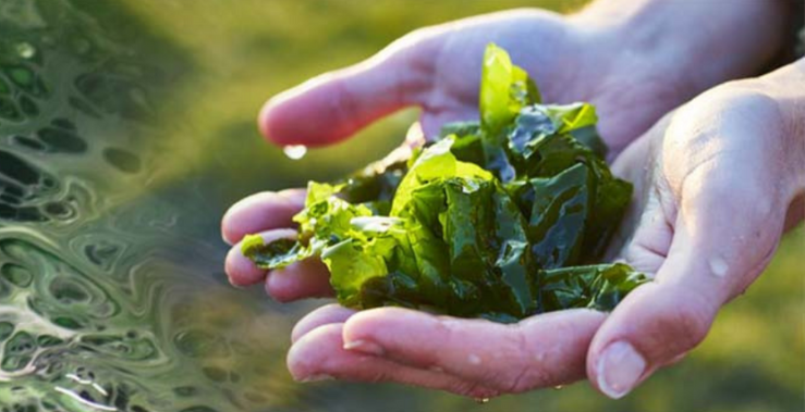 Ontwerp zonder titel (68).png__PID:379e3009-d46b-4af8-8da8-e637d83d6410