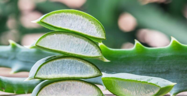 Ontwerp zonder titel (69).png__PID:9e3009d4-6b6a-480d-a8e6-37d83d6410f3