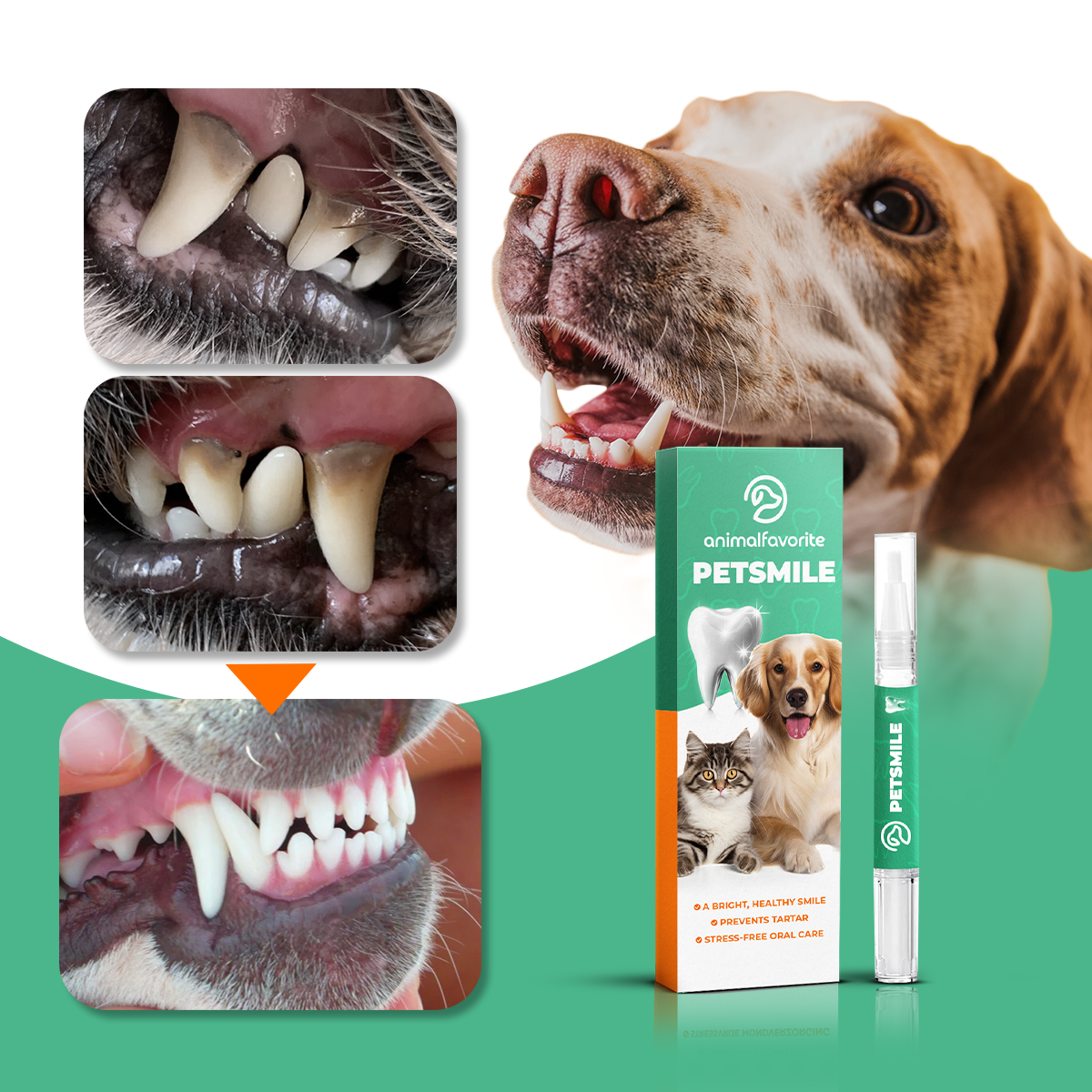 PetSmile™ | Koniec z kamieniem nazębnym, zdrowie zostaje!