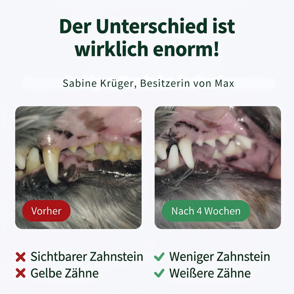 PetSmile | Schluss mit Zahnbelag und Mundgeruch!