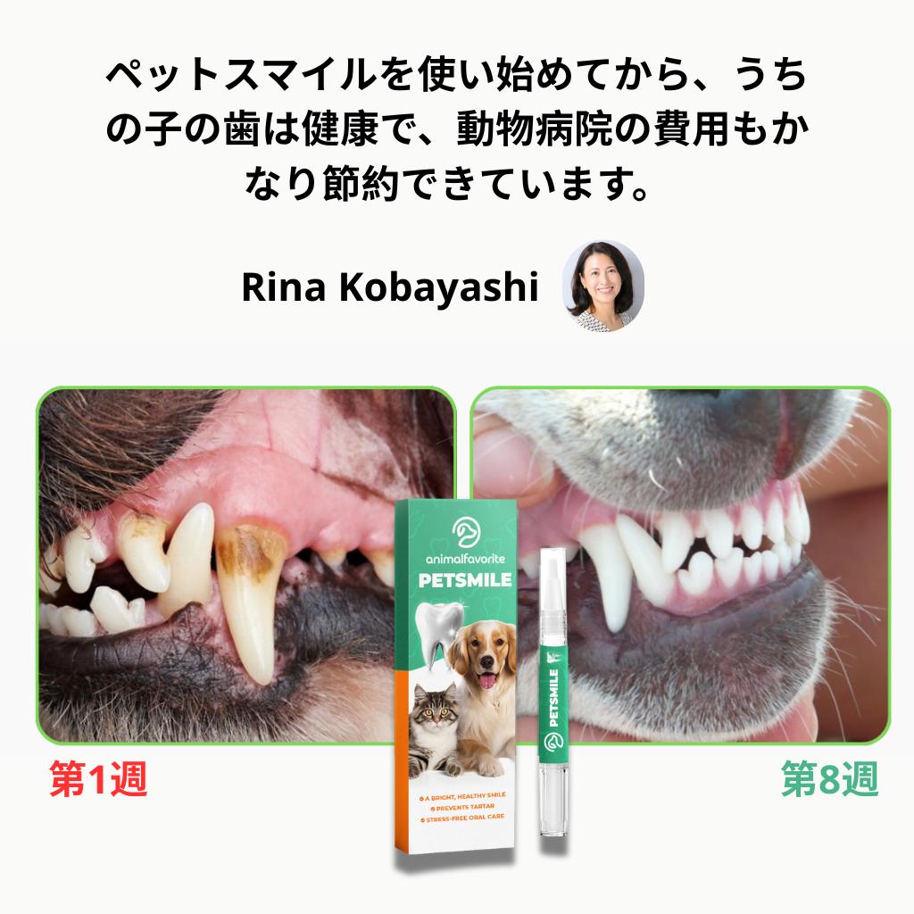 PetSmile™ | 歯垢と口臭にさようなら！