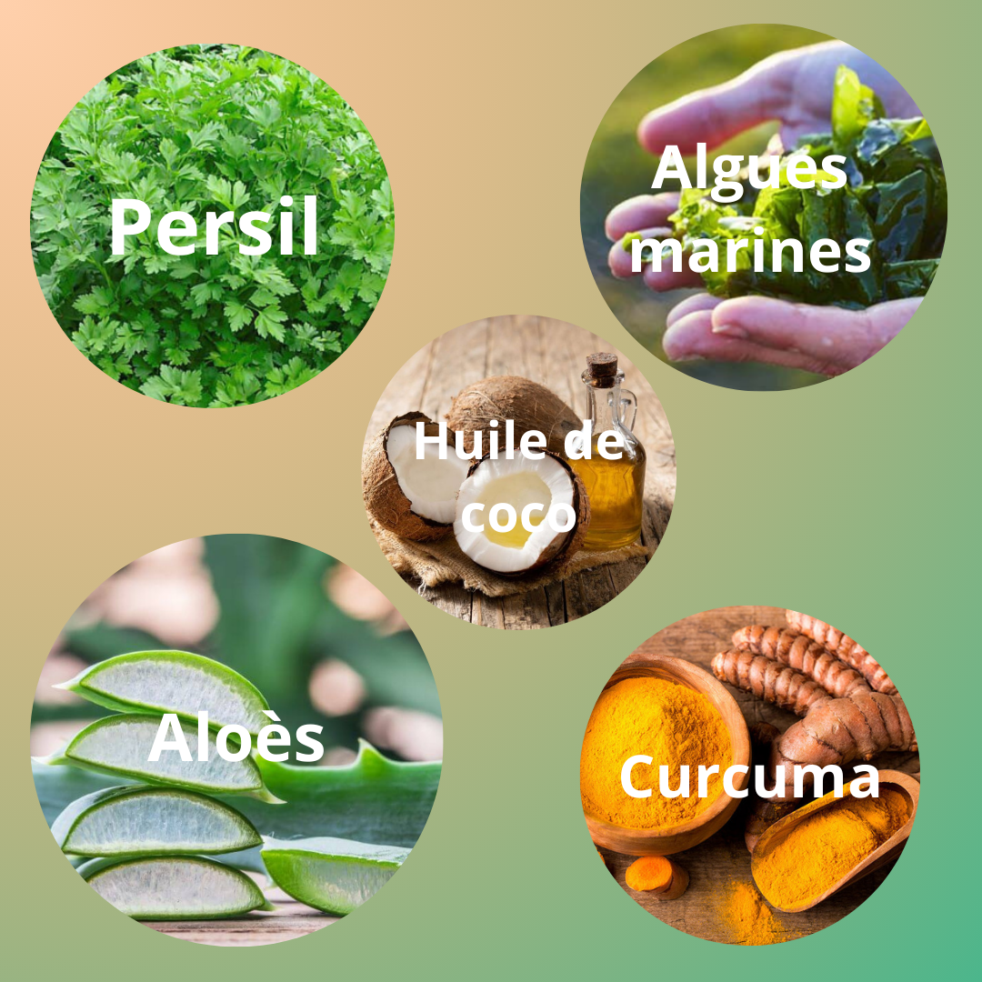 PetSmile™ | Fini le tartre, la santé reste!