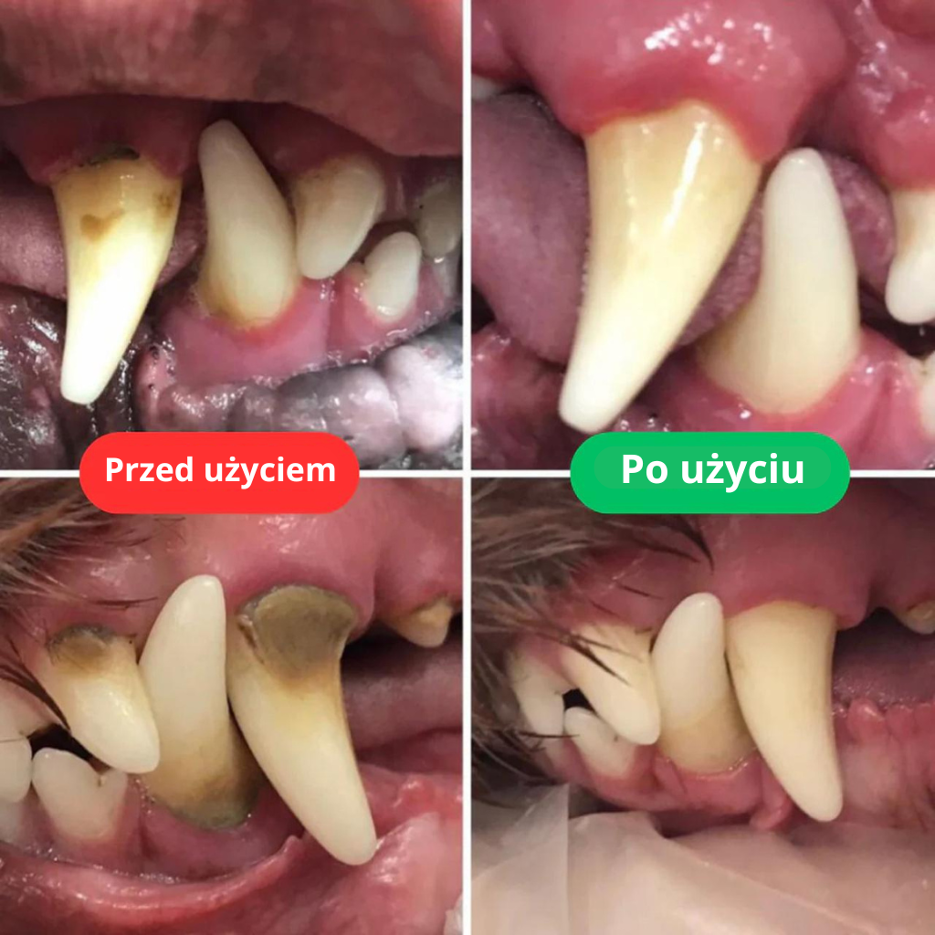 PetSmile™ | Koniec z kamieniem nazębnym, zdrowie zostaje!