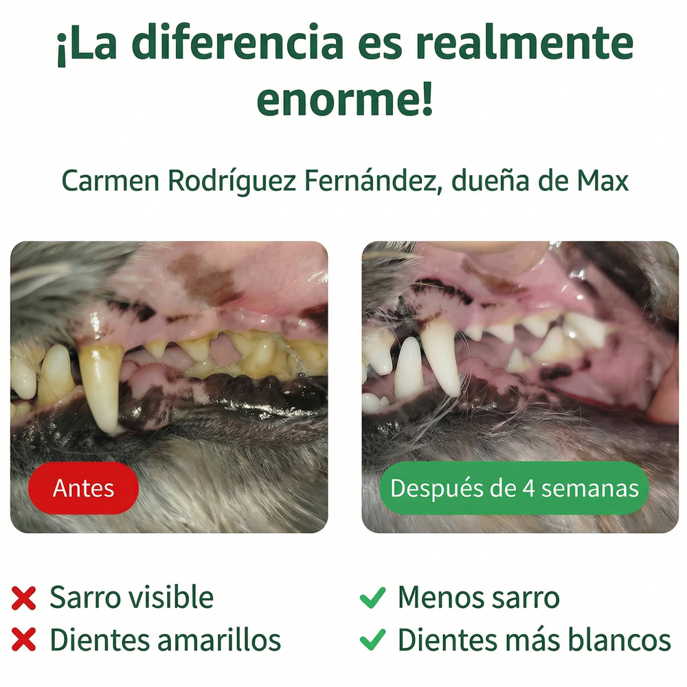 PetSmile | Di adiós a la placa y al mal aliento!